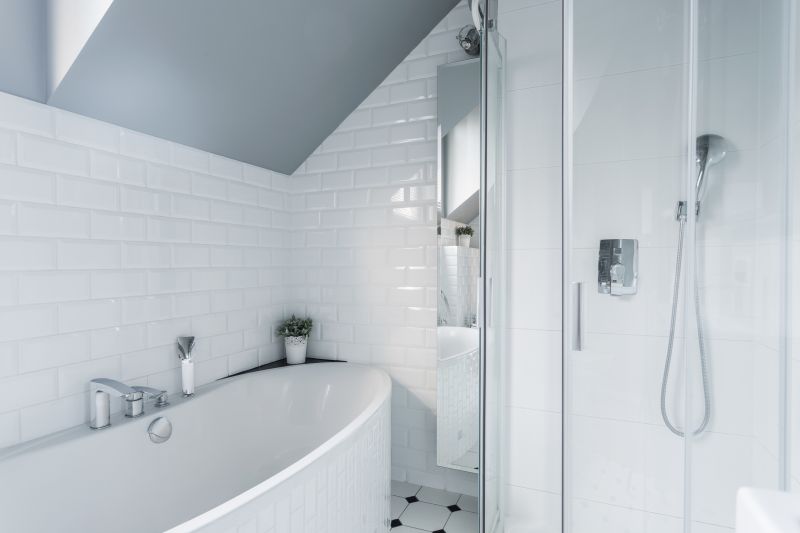 Tub to Shower Conversion